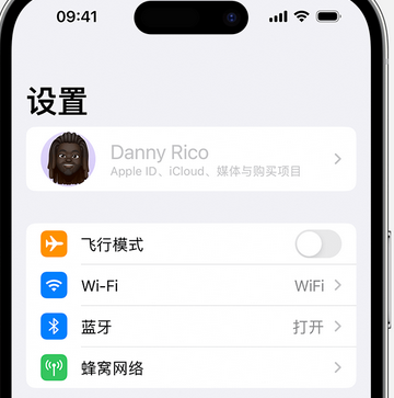 疏勒appleID维修服务iPhone设置中Apple ID显示为灰色无法使用