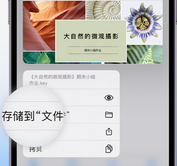 疏勒apple维修中心分享iPhone文件应用中存储和找到下载文件