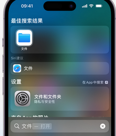 疏勒apple维修中心分享iPhone文件应用中存储和找到下载文件