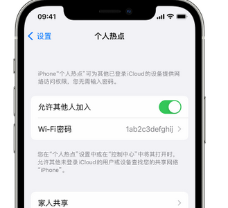 疏勒apple服务站点分享iPhone上个人热点丢失了怎么办 