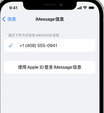 疏勒apple维修iPhone上无法正常发送iMessage信息 