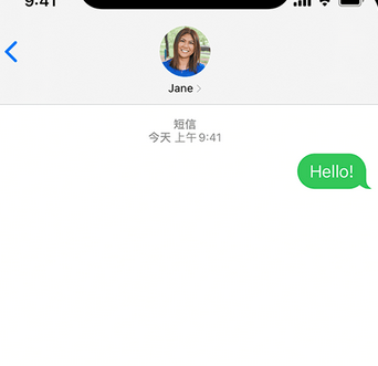 疏勒apple维修iPhone上无法正常发送iMessage信息