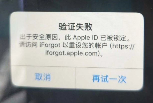 疏勒iPhone维修分享iPhone上正常登录或使用AppleID怎么办 