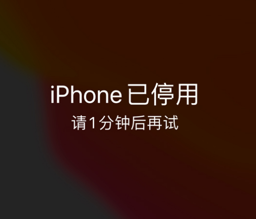 疏勒苹果手机维修分享:iPhone 显示“不可用”或“已停用”怎么办？还能保留数据吗？ 