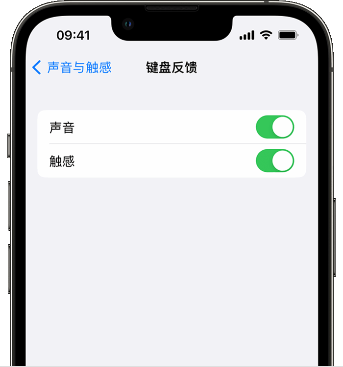 疏勒苹果14维修店分享如何在 iPhone 14 机型中使用触感键盘 