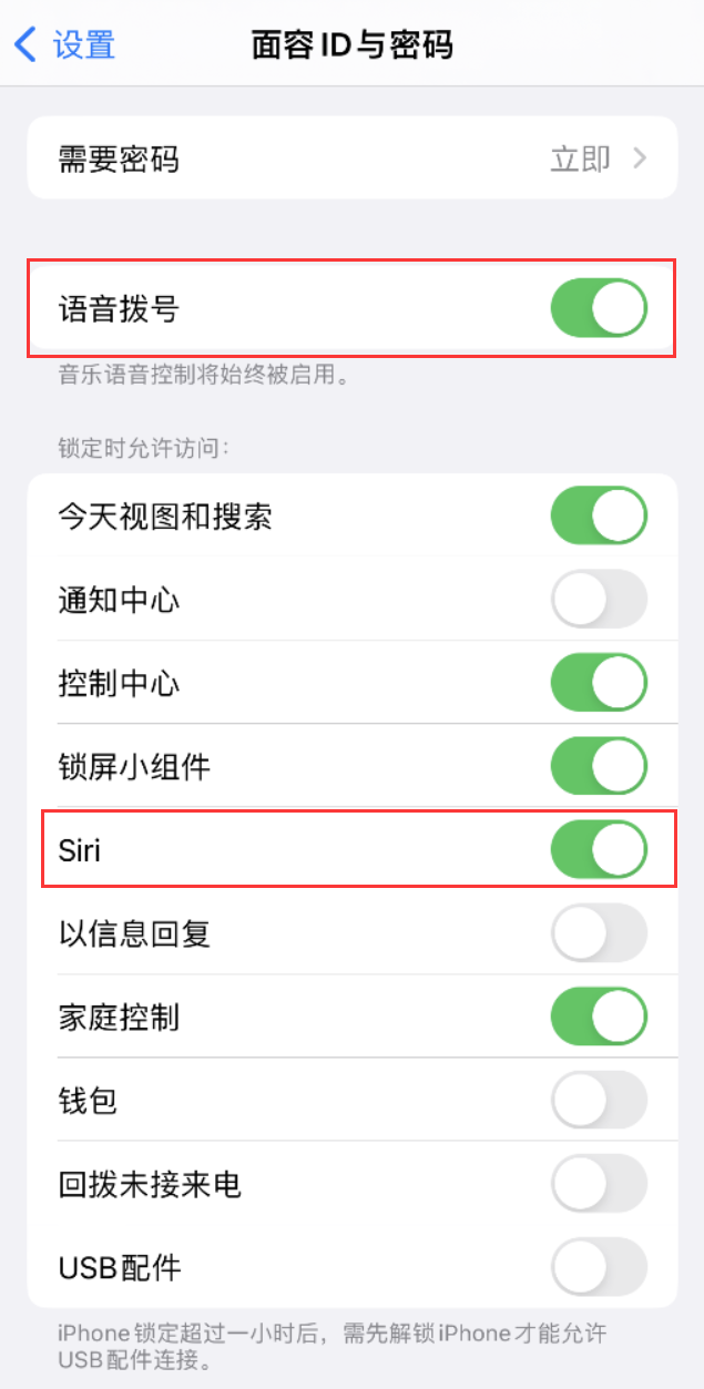 疏勒苹果维修网点分享不解锁 iPhone 的情况下通过 Siri 拨打电话的方法 