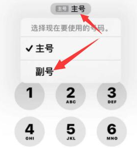 疏勒苹果14维修店分享iPhone 14 Pro Max使用副卡打电话的方法 