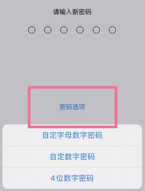 疏勒苹果14维修分享iPhone 14plus设置密码的方法 