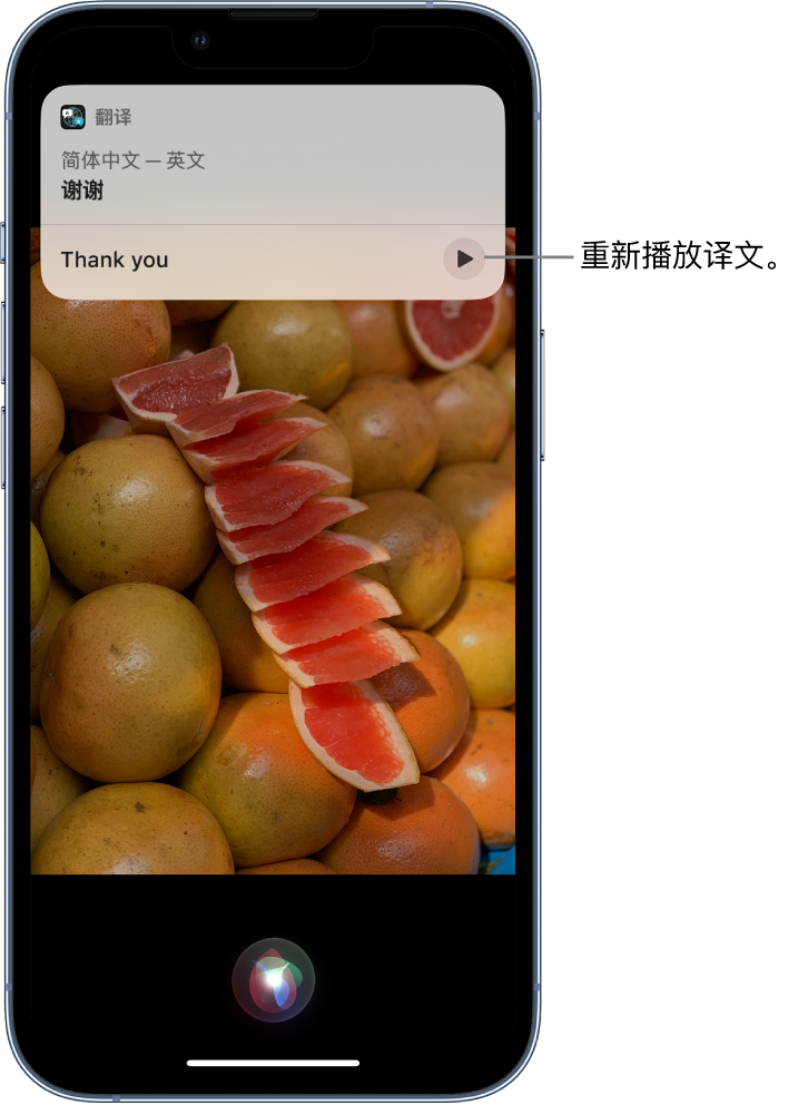 疏勒苹果14维修分享 iPhone 14 机型中使用 Siri：了解 Siri 能帮你做什么 