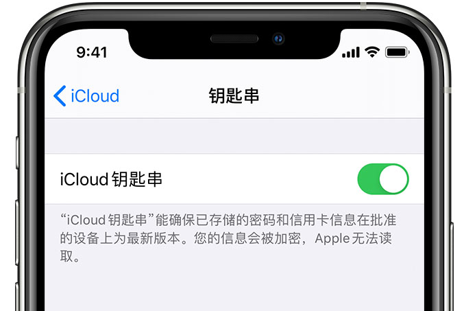 疏勒苹果手机维修分享在 iPhone 上开启 iCloud 钥匙串之后会储存哪些信息 