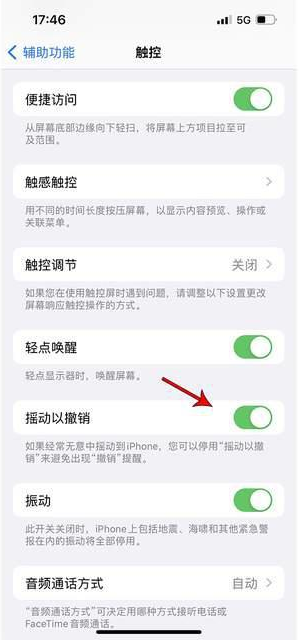 疏勒苹果手机维修分享iPhone手机如何设置摇一摇删除文字 